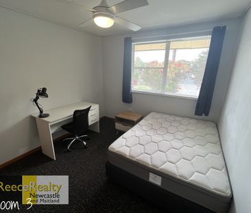 2a Hansen Place, Shortland, NSW 2307 - Photo 5