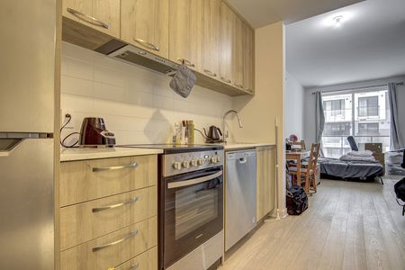 Condo for rent, Montréal (Le Sud-Ouest) - Photo 2