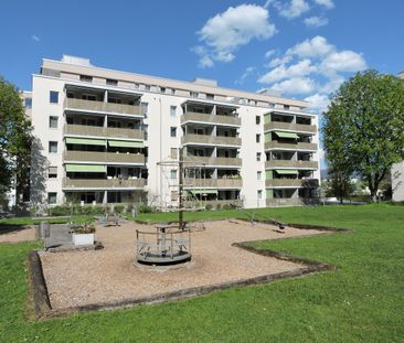 Matthofring the residential quarter directly on Lake Lucerne - Photo 4