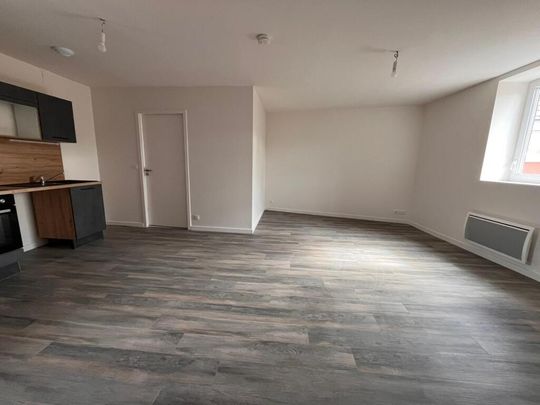 Location Appartement 2 pièces 47m² BRIOUDE 43100 - Photo 1