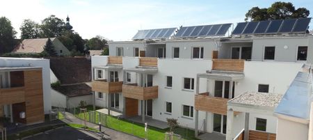 Traumhaftes Wohnen in Pottenbrunn - moderne 3-Zimmer Wohnung mit Terrasse und Garten - KAUFOPTION - Photo 4