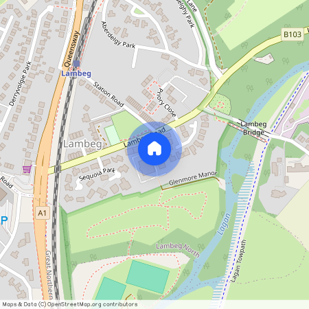 39 Glenmore Place, Lisburn, BT27 4QT