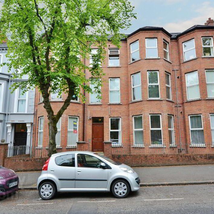 99 Eglantine Avenue, BT9, Belfast - Photo 1