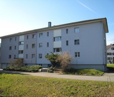 Herzige 1-Zimmerwohnung an ruhiger Lage zu vermieten - Photo 2