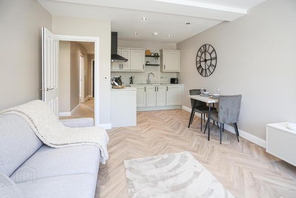 Apt 3, 225a Albertbridge Road, Belfast, BT5 4PX - Photo 1