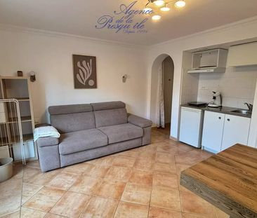 Location Appartement 1 pièce 24m² HYERES 83400 - Photo 3