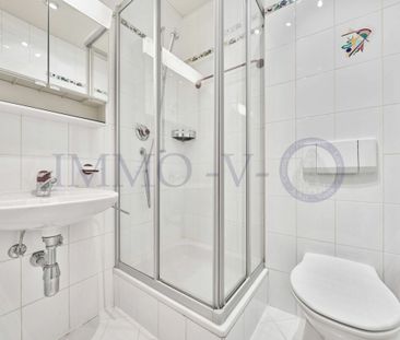 PULLY PLAGE – SPACIOUS AND BRIGHT WITH BALCONY-TERRACE AND LAKE VIEW - Photo 6