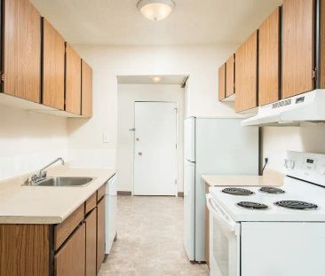 Danton Manor — 1 Bedroom (Basement) - Photo 4