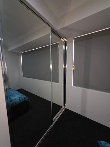 Hilbert - Photo 5