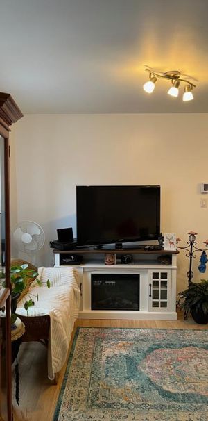 3 1/2 très ensoleillé Vieux Longueuil 1260$/mois à partir du 1 mars - Photo 1