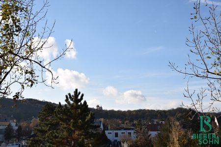 Sonnige, entzückende, top 3-Zimmerwohnung – Blick auf Burg Liechtenstein - Photo 4