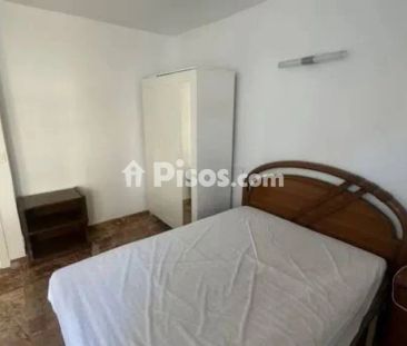 Piso en alquiler en Guardamar del Segura - Foto 6
