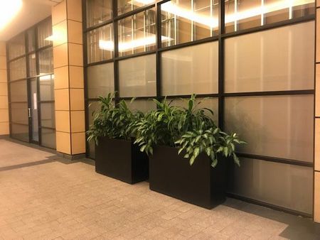 For Lease - 2900 Highway 7 N/A Unit# 510, Vaughan, Ontario - Photo 4