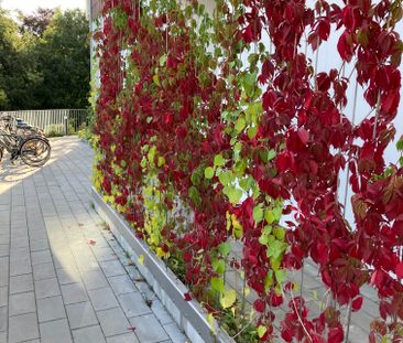Einar Olssons gata, Ystad - Photo 3