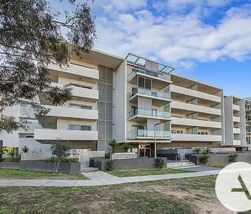 307/1 Watkin St, Bruce ACT 2617 - Apartment For Rent | Domain - Photo 4