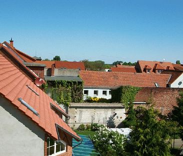 2 Zimmerwohnung mit Balkon! Perfekt geschnitten! - Foto 2