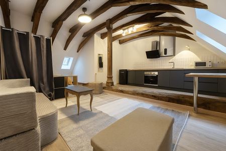 Location Appartement 1 pièce 28m² BEAUNE 21200 - Photo 3