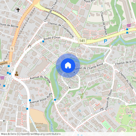 chemin de Champ-Rond 25, 1010 Lausanne