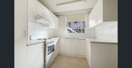 WALK TO SOUTHLAND & PUBLIC TRANSPORT - Photo 3