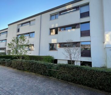 Lichtdurchflutetes Wohnparadies in Arlesheim – Ihr neues Zuhause ab... - Foto 3