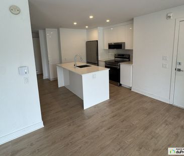 8435, rue Boyer, Ville-Marie (Centre-Ville et Vieux-Montréal) à louer - Photo 2