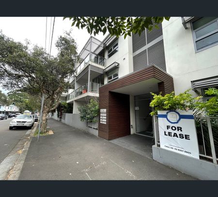 209/762-768 Elizabeth St, Waterloo, NSW 2017 - Photo 4