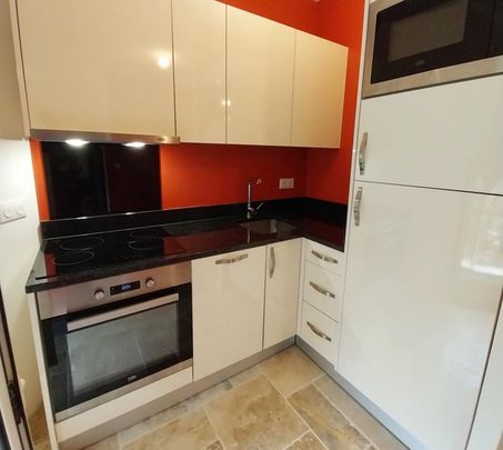 Location Appartement 1 pièce 30m² PUISSEGUIN 33570 - Photo 1