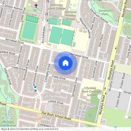 9 Sunglade Grove, Flat Bush, Manukau City