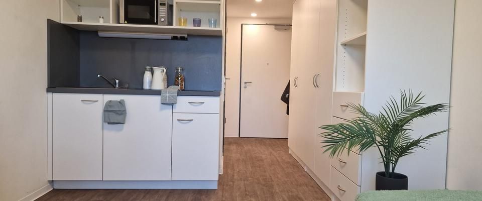 Möbliertes Apartmant über den Dächern von Leipzig - Wentzel Dr. - - Photo 1
