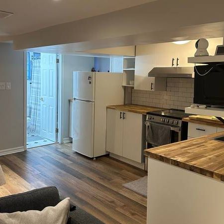 Fully Renovated 1 Bedroom Lower-Level Suite near TTC Subway Station - Photo 1