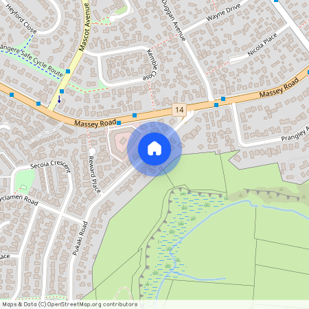 22 Pukaki Road, Mangere, Manukau City