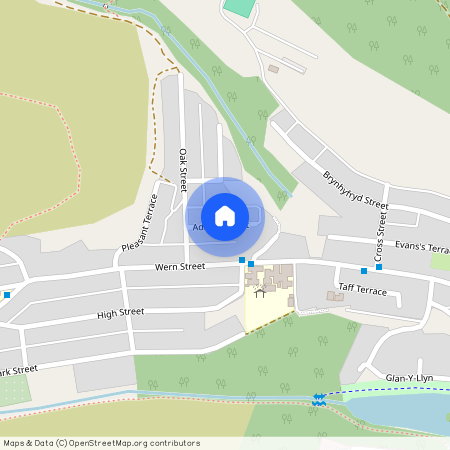 Adams Street, Tonypandy, CF40