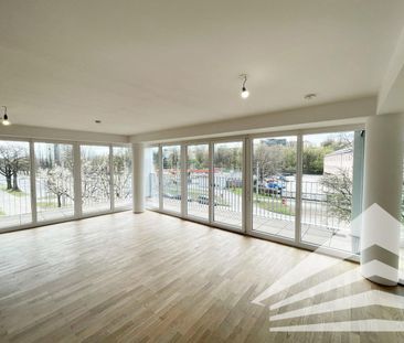 Lichtdurchflutete, große 2 Zimmer-Neubauwohnung mit Küche! - Foto 4