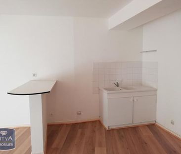 Location Appartement 1 pièce 42m² CHINON 37500 - Photo 3