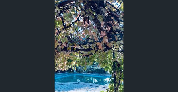 Stunning 5-Bedroom Estate for Lease on 10 Acres - Luxurious Amenities and Spacious Living! - Photo 1