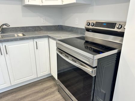 For Lease - 219 Ridge Road Unit# Basement, Cambridge, Ontario - Photo 4