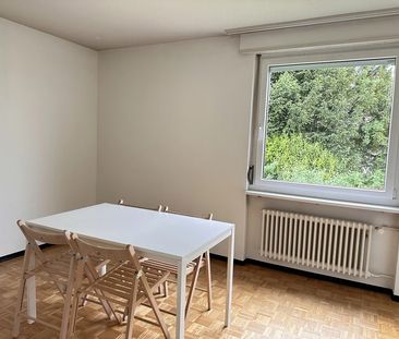 1 Zimmer, 14 m², EG - Foto 1