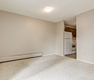 1 Bedroom - Photo 4