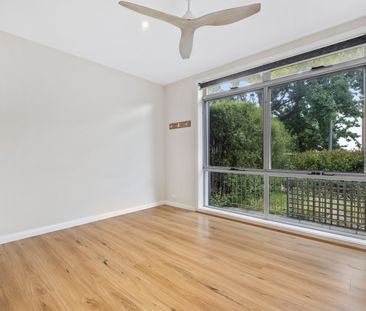 14/30 Ijong Street, Braddon ACT 2612 - Apartment For Rent | Domain - Photo 2