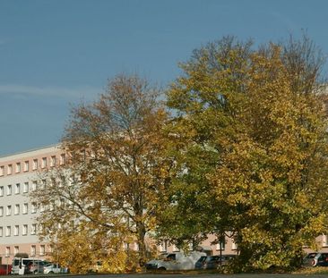 Moltkestraße 12, 08523 Plauen - Photo 1
