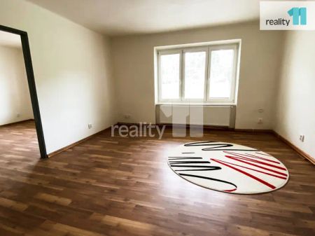 Pronájem bytu 2+1, 46 m - Fotografie 2