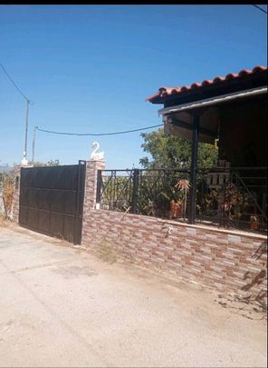 Μονοκατοικία για ενοικίαση Λουτρά Ωραίας Ελένης (Σαρωνικός) - Photo 1