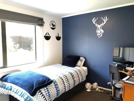 4 Bedroom Home with Excellent Outdoor Features - Photo 2