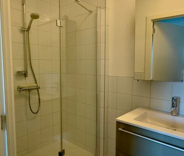 Instapklaar 1 slaapkamer-appartement met zeer ruim terras - Photo 6