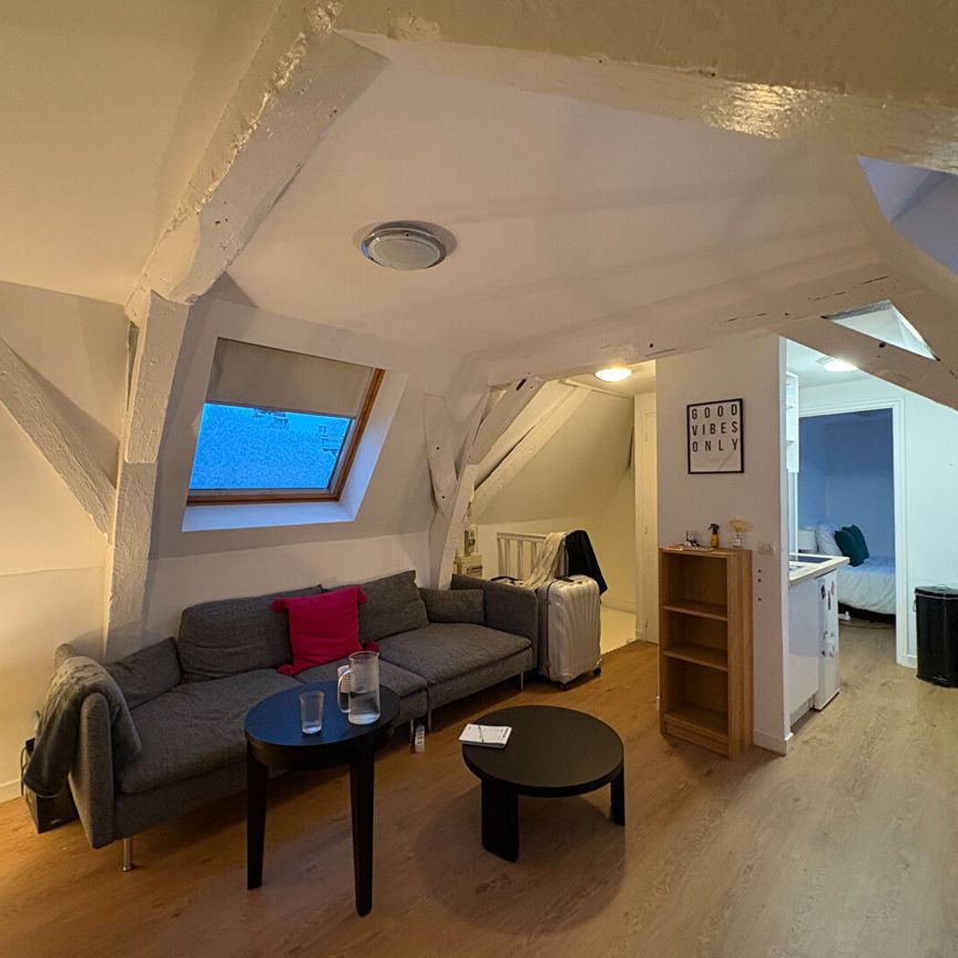 Location Appartement 1 pièce 23m² LILLE 59000 - Photo 1