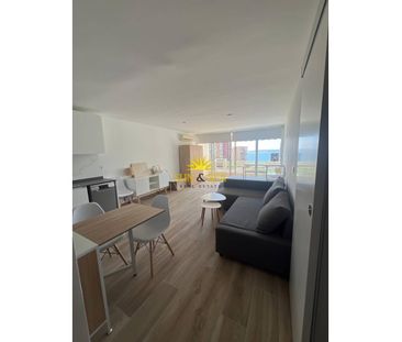 STUDIO IN ALICANTE - Photo 2