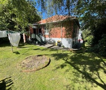 Charming 4BR Hataitai Haven w/ Garden - Photo 5