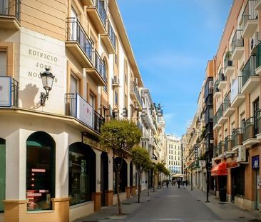 Alquiler de piso en Calle Cardenal Albornoz, 11 - Photo 3