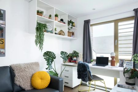 Large Standard Double Studio - Photo 3