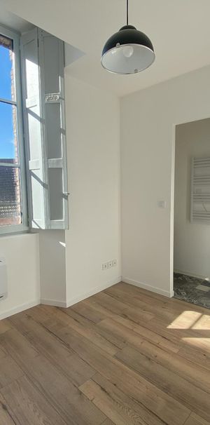 Location Appartement 2 pièces 29m² GAILLAC 81600 - Photo 1